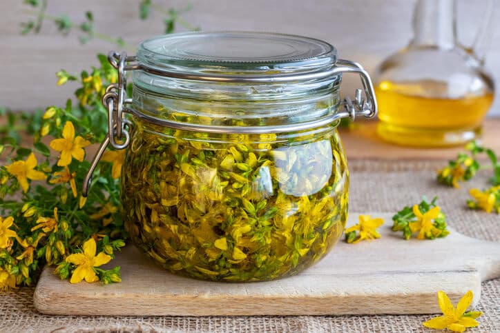 St. John's wort flowers macerating in olive oil in a glass jar