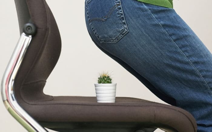 Woman Suffering From Hemorrhoids And Thorny Cactus on chair