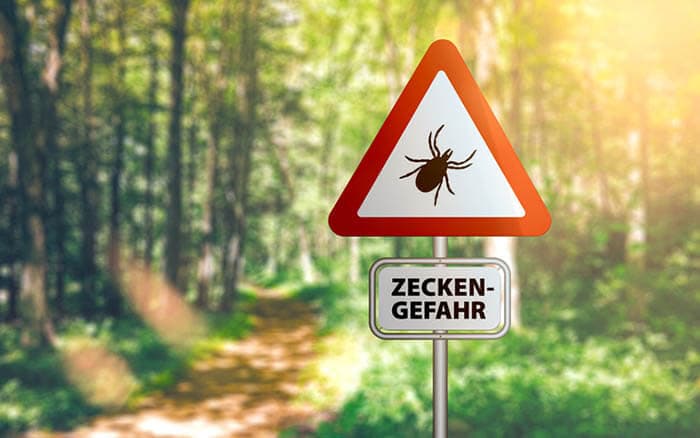 Nahaufnahme des Warnschildes mit Text ZECKEN GEFAHR, Deutsch für Vorsicht vor Zecken, vor defokussiertem Waldhintergrund