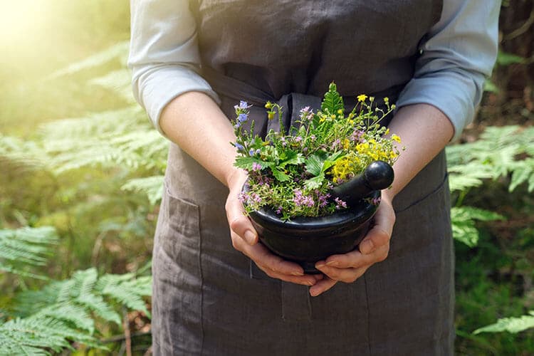 Frau sammelt Naturheilkräuter im Garten.