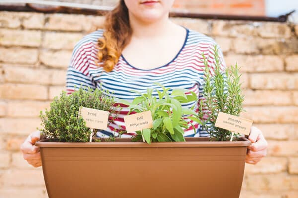 Frau mit einem Blumentopf voll Kräuter