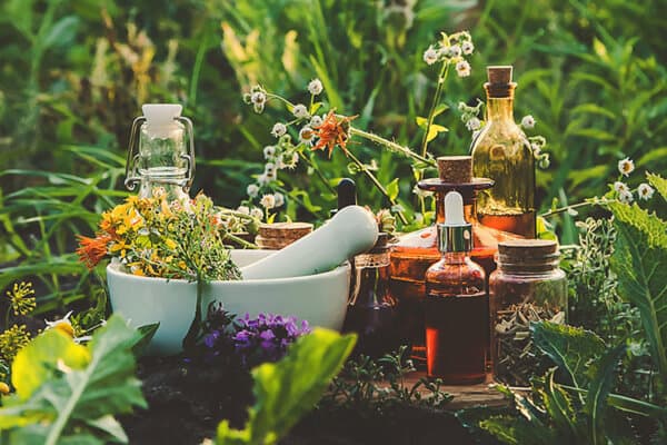 Medizinische Kräuter und Tinkturen für Alternativ-Medizin stehen zwischen Sträuchern.